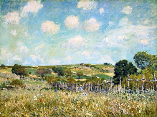 Meadow by Alfred Sisle