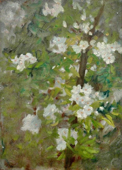 White Blossom by Henry Scott Tuke