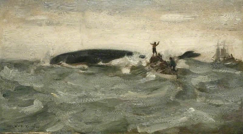 WHALE BLOWING