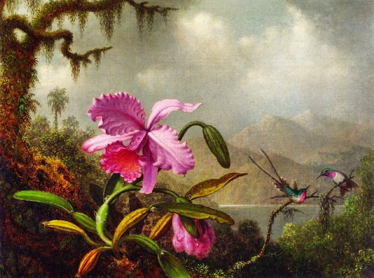 Orchids And Hummingbirds Near A Mountain Lake by Martin Johnson Heade