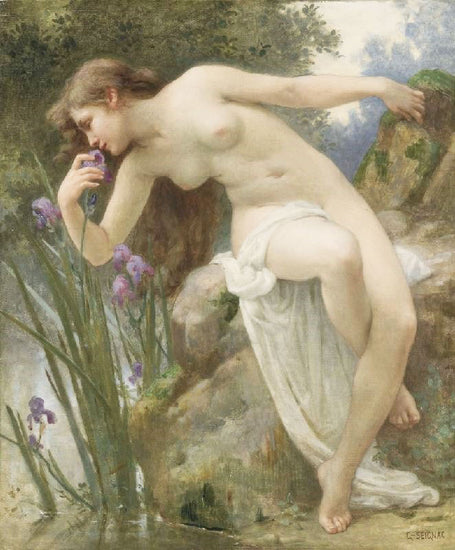 The Fragrant Iris by Guillaume Seignac