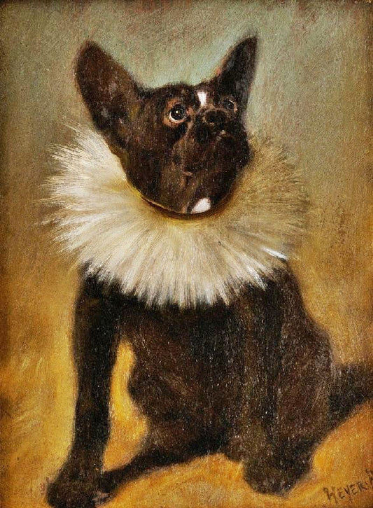 French Bulldog by Arthur Heyer
