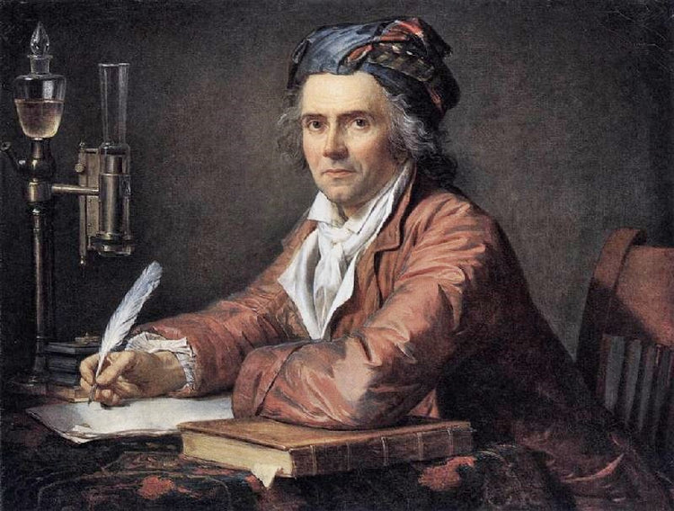 Portrait Of Doctor Alphonse Leroy by Jacques-Louis David
