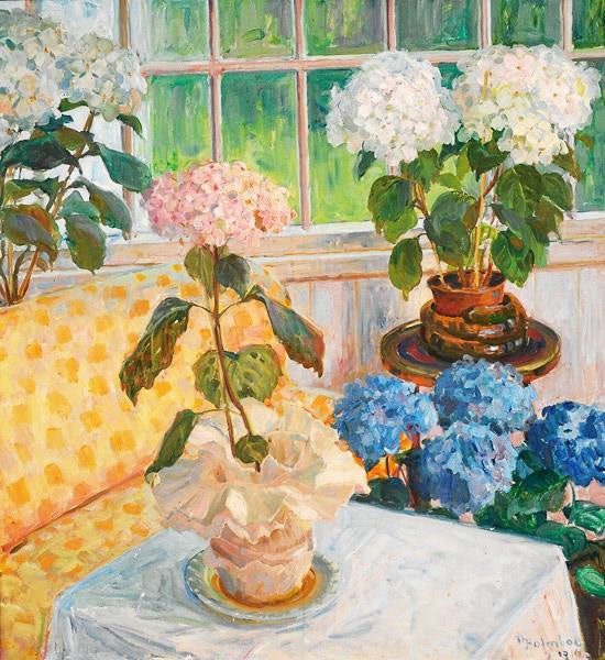 GARDEN WITH HYDRANGEAS IN POTS