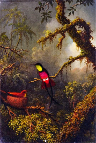 A Pair Of Nesting Crimson Topaz Hummingbirds by Martin Johnson Heade