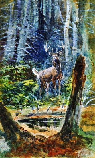 Deer In The Dell by Charles Marion Russell