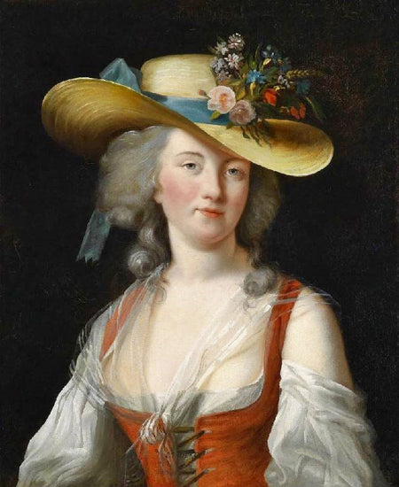 Portrait De Anne Catherine Le Preudhomme De Chatenoy, Comtesse Der Verdun by Élisabeth Vigée-Lebrun