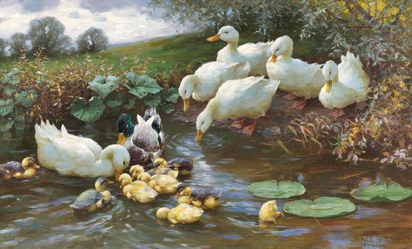 Family Of Ducks At The Water by Alexander Koester