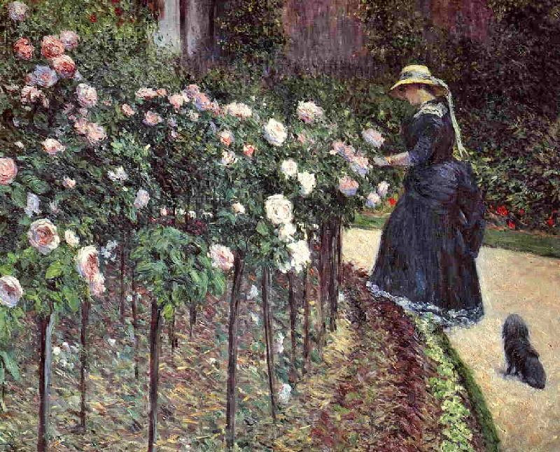 Roses, Garden At Petit Gennevilliers by Gustave Caillebotte