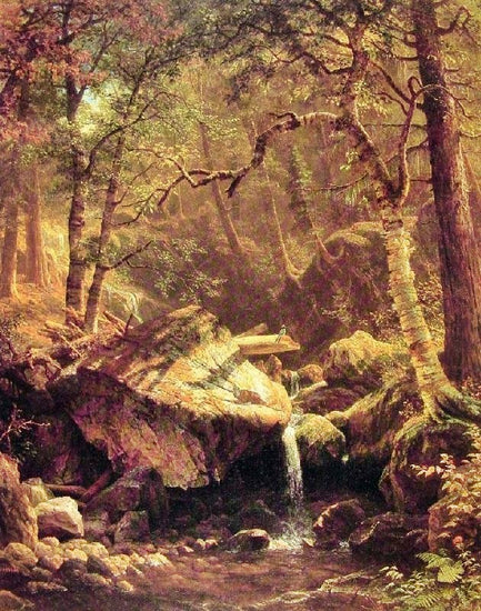 The Mountain Brook by Albert Bierstadt