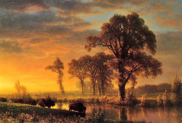 Western Kansas by Albert Bierstadt
