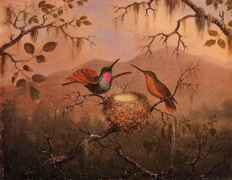 TWO HUMMINGBIRDS AT A NEST