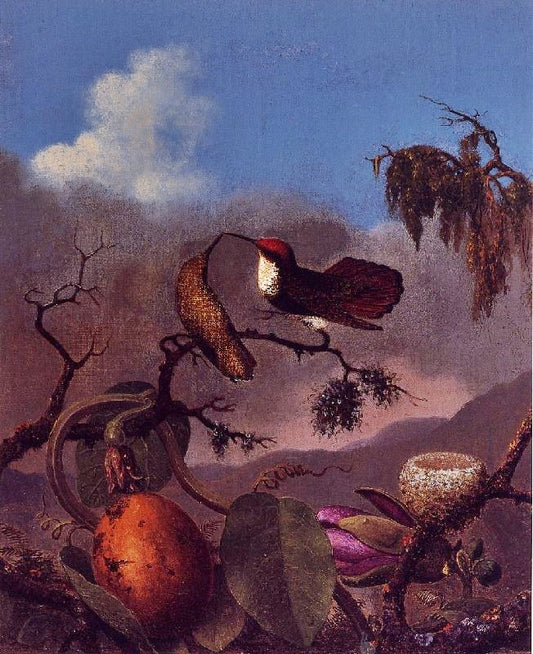 Ruby Topaz Hummingbirds by Martin Johnson Heade