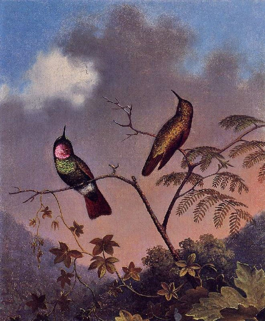 Brazilian Ruby Hummingbirds by Martin Johnson Heade