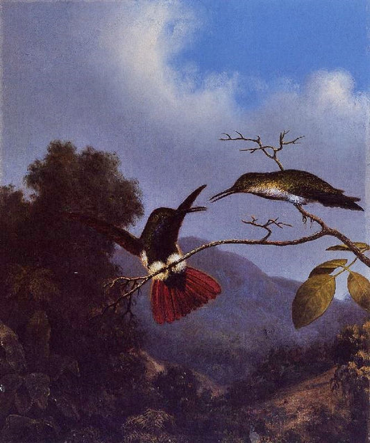 Black-Throated Mango by Martin Johnson Heade