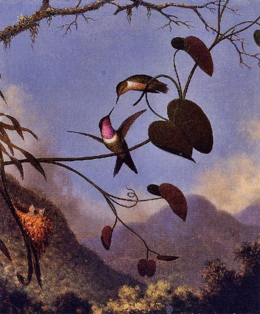 Amethyst Woodstar by Martin Johnson Heade
