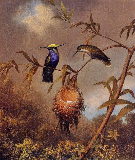 Black-Breasted Plovercrest by Martin Johnson Heade