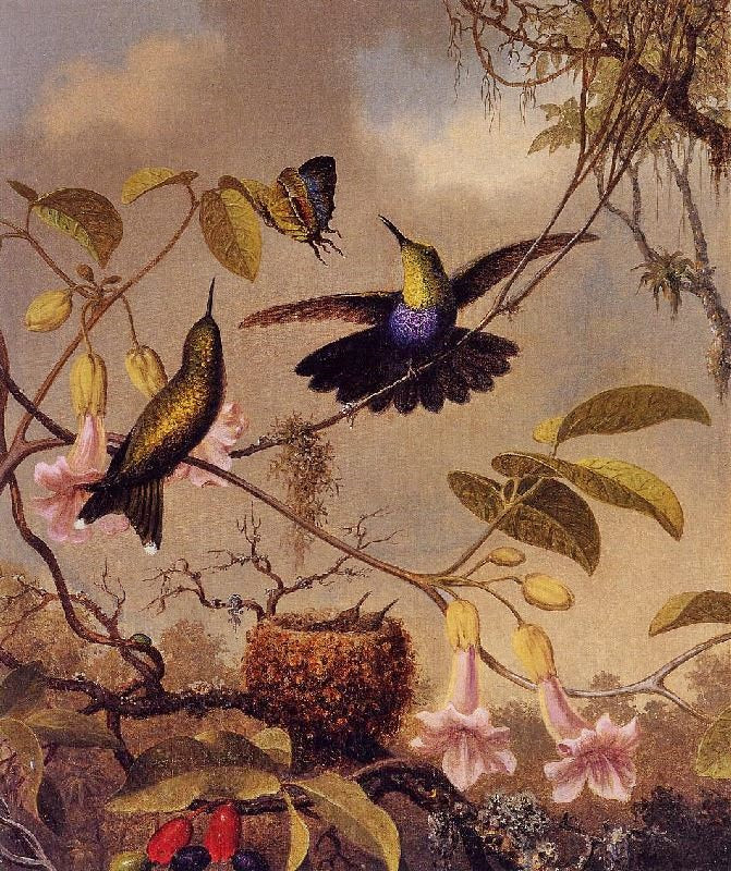 Fork-Tailed Woodnymph by Martin Johnson Heade