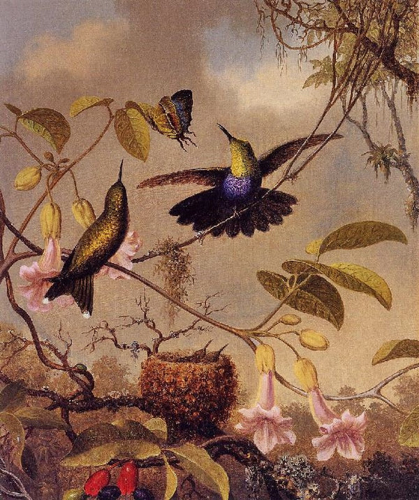 Fork-Tailed Woodnymph by Martin Johnson Heade