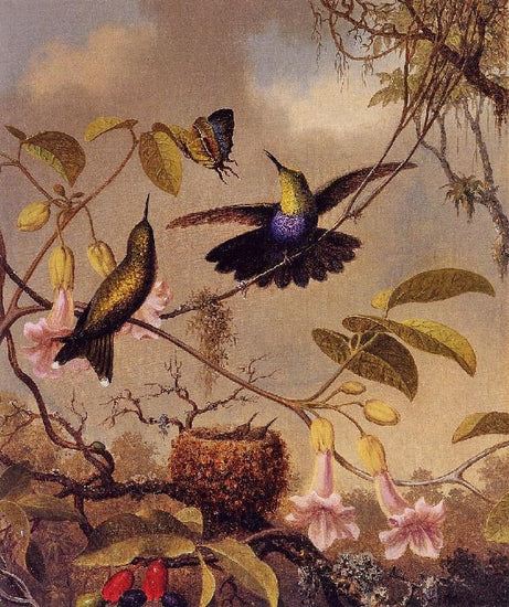 Fork-Tailed Woodnymph by Martin Johnson Heade