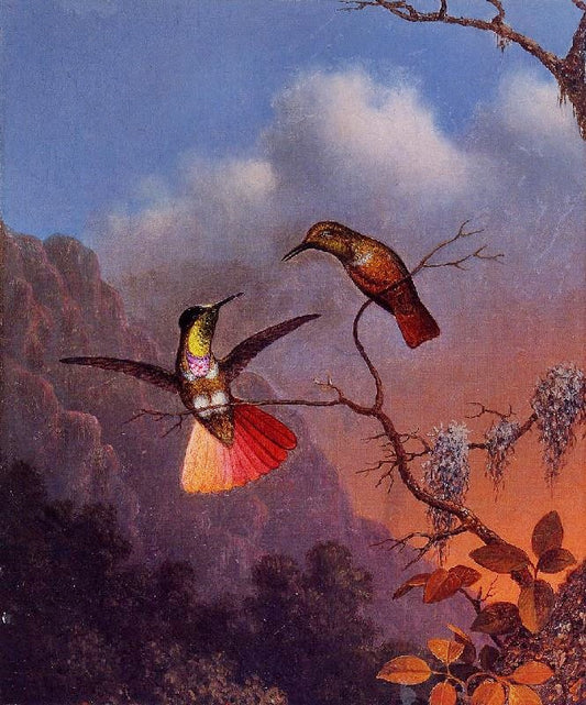 Hooded Visorbearer by Martin Johnson Heade