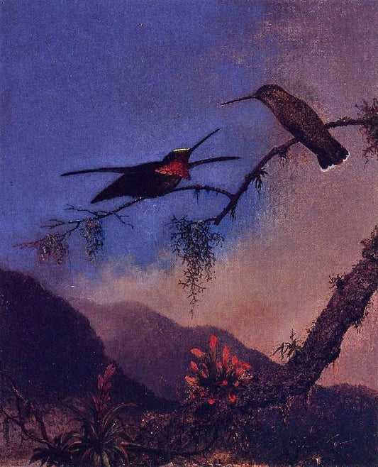 Stripe-Breasted Starthroat by Martin Johnson Heade