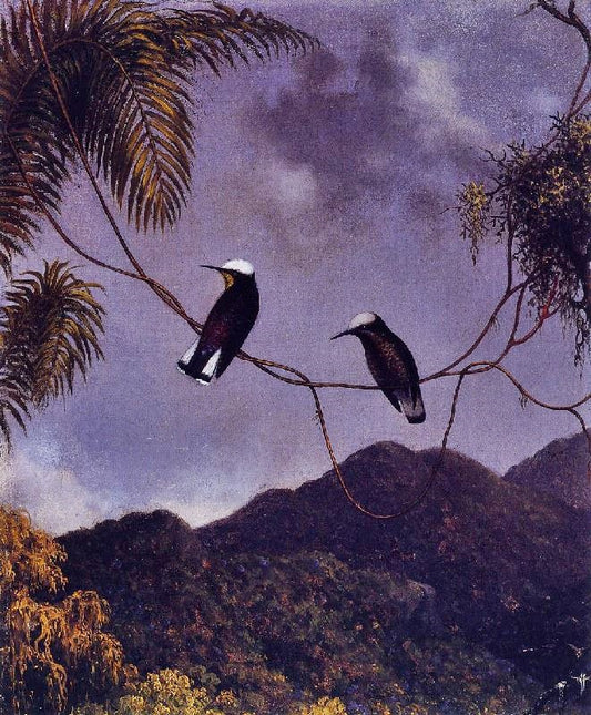 Snowcap by Martin Johnson Heade