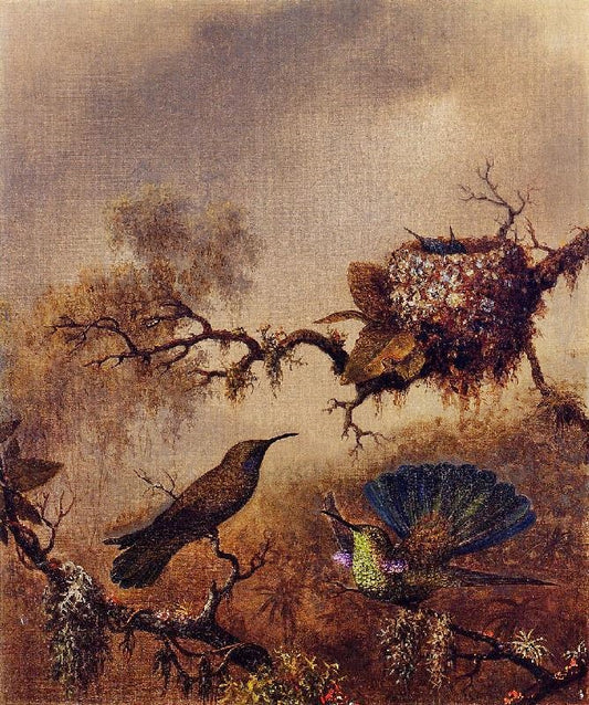 White-Vented Violet-Ear by Martin Johnson Heade