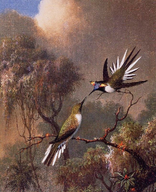 Two Sun Gems On A Branch by Martin Johnson Heade
