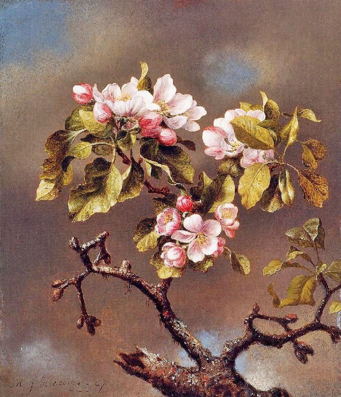 Branch Of Apple Blossoms Against A Cloudy Sky by Martin Johnson Heade