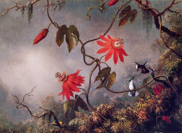 Passion Flowers And Hummingbirds by Martin Johnson Heade
