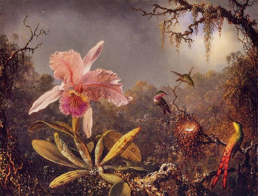 Cattleya Orchid And Three Brazilian Hummingbirds by Martin Johnson Heade