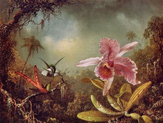 Orchid With Two Hummingbirds by Martin Johnson Heade