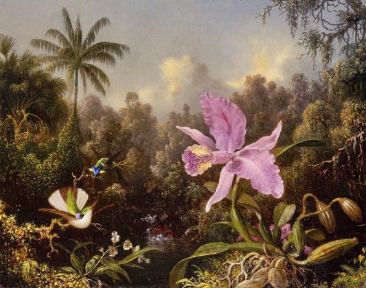 Orchid And Two Hummingburds by Martin Johnson Heade