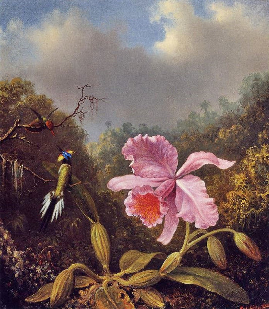 Fighting Hummingbirds With Pink Orchid by Martin Johnson Heade