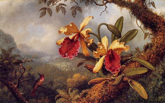 Orchids And Hummingbird by Martin Johnson Heade