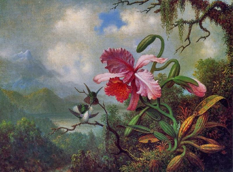 Orchid And Hummingbirds Near A Mountain Lake by Martin Johnson Heade