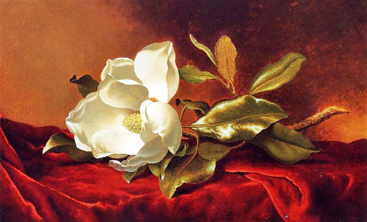 A Magnolia On Red Velvet by Martin Johnson Heade
