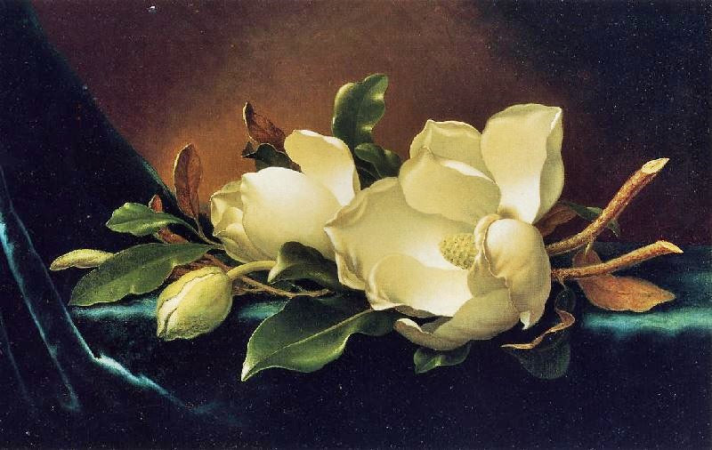 Two Magnolias And A Bud On Teal Velvet by Martin Johnson Heade