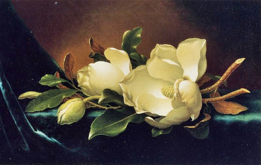 Two Magnolias And A Bud On Teal Velvet by Martin Johnson Heade