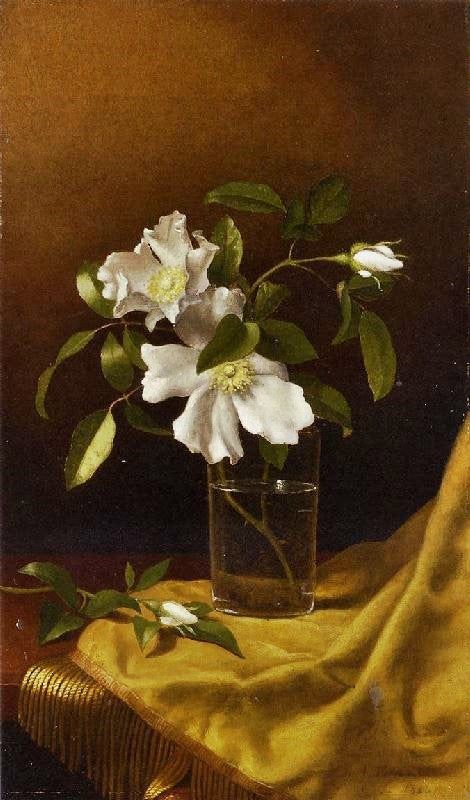 Cherokee Roses In A Glass On Gold Velvet Plush by Martin Johnson Heade