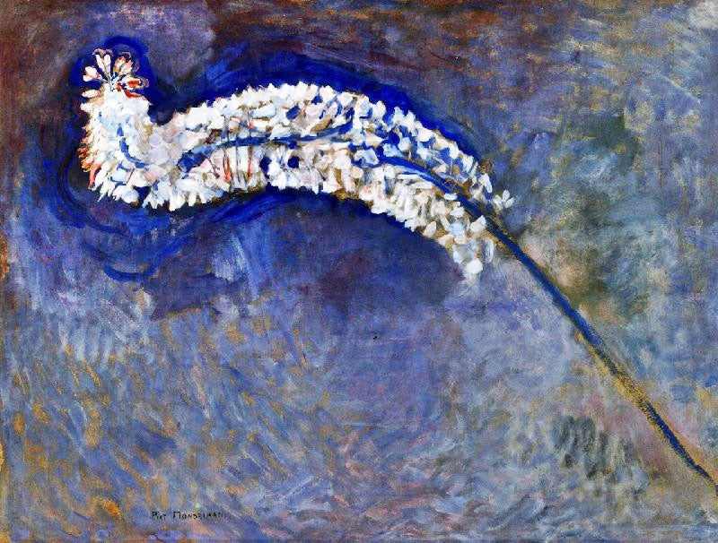 Foxtail Lily by Piet Mondrian