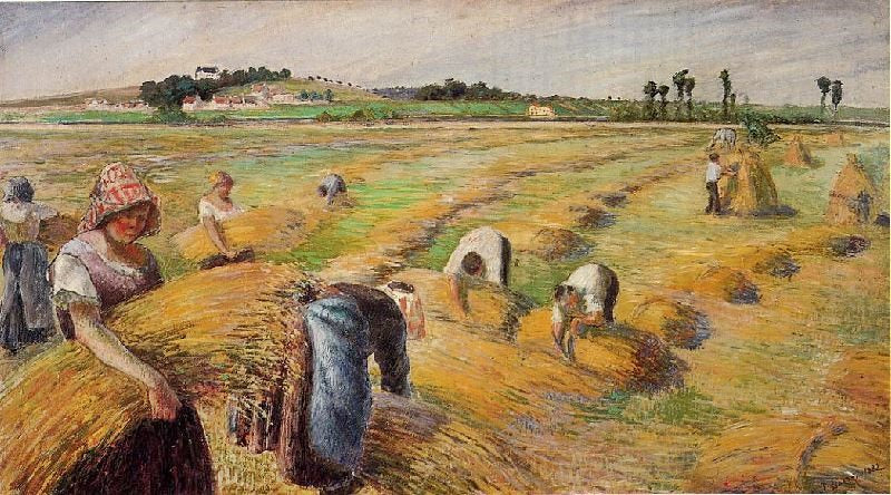 THE HARVEST