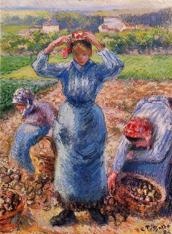 PEASANTS HARVESTING POTATOES