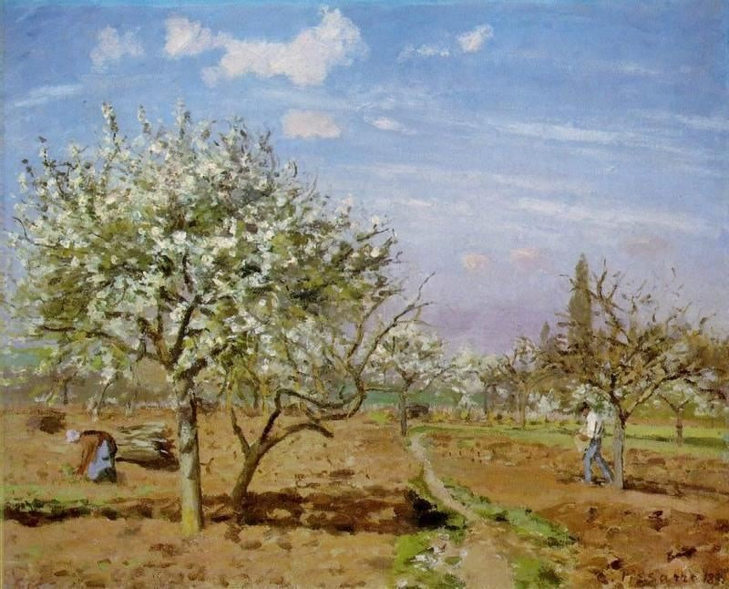 Orchard In Blossom, Louveciennes by Camille Pissarro