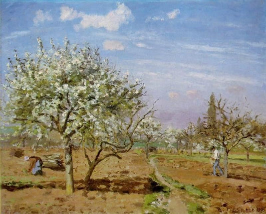 Orchard In Blossom, Louveciennes by Camille Pissarro