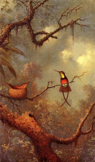 Crimson Topaz Hummingbirds Nesting In A Tropical Forest by Martin Johnson Heade