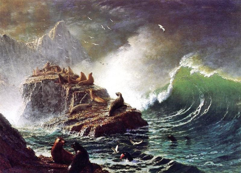 Seals On The Rocks, Farallon Islands by Albert Bierstadt