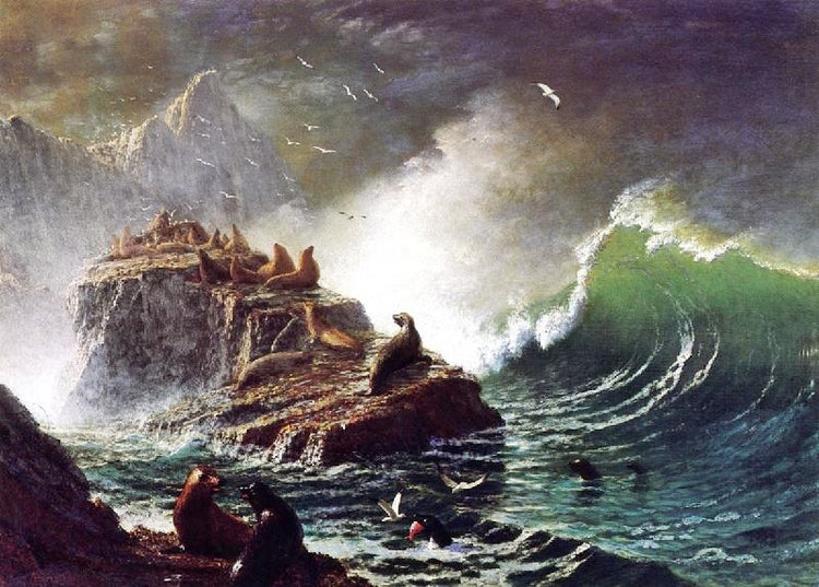 Seals On The Rocks, Farallon Islands by Albert Bierstadt