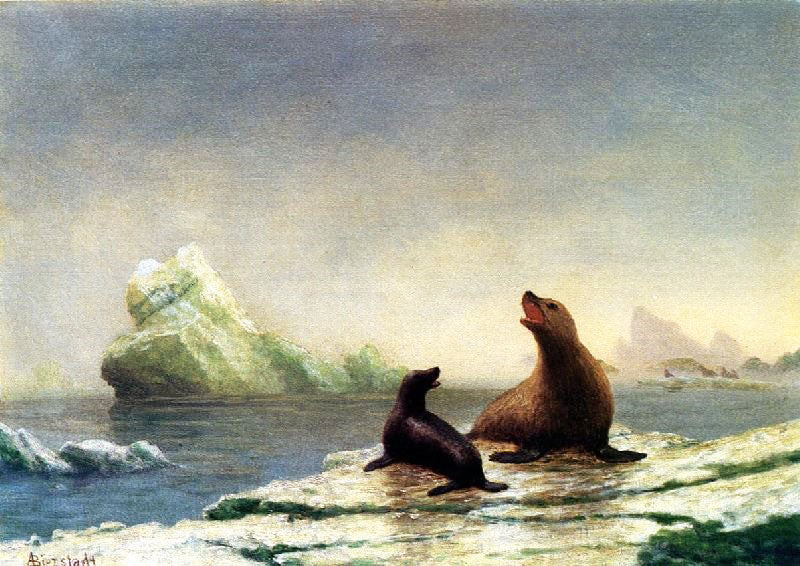 SEALS